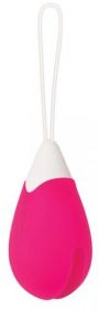 Rechargeable Egg Pink Vibrator Remote Control